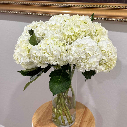 Snow Ball - Flowery