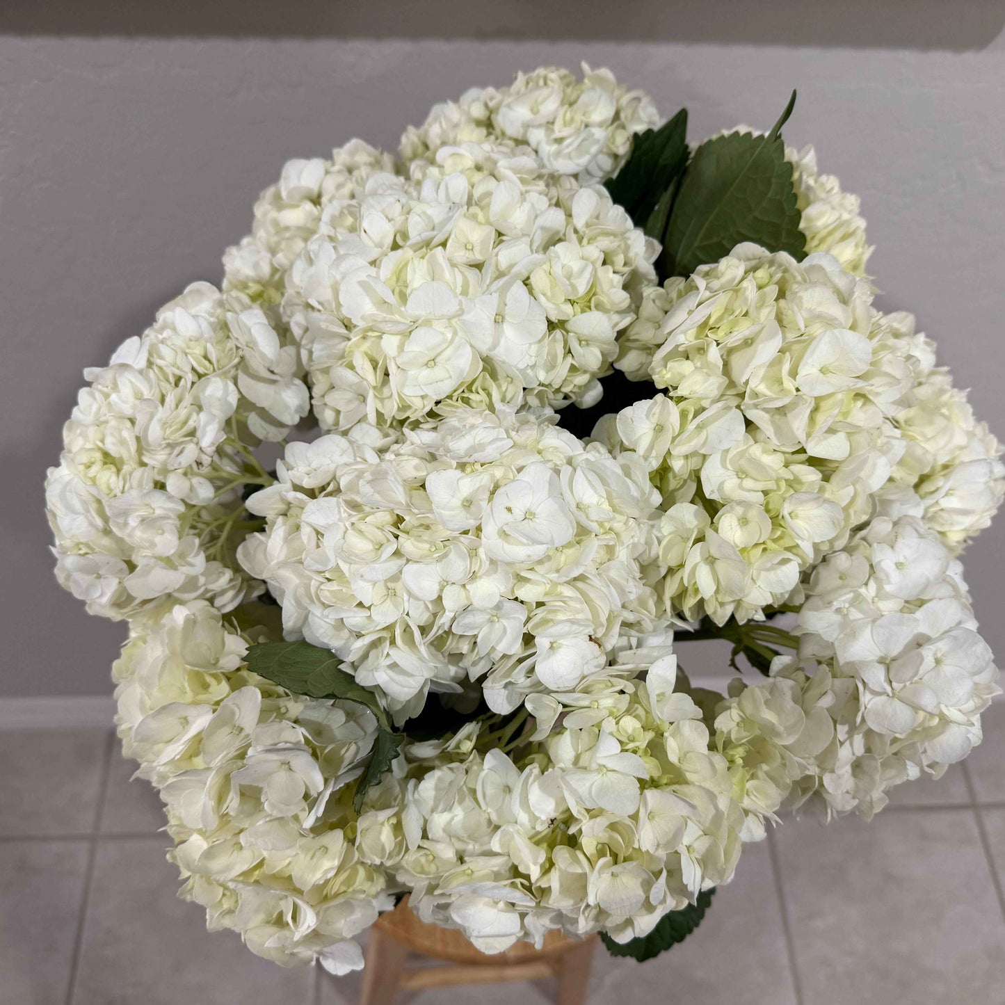 Snow Ball - Flowery