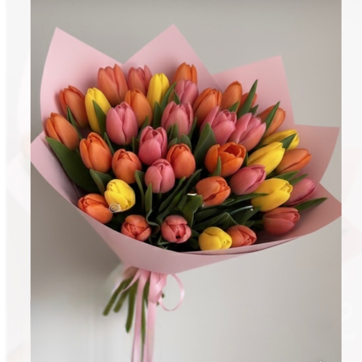 Tulip Angle