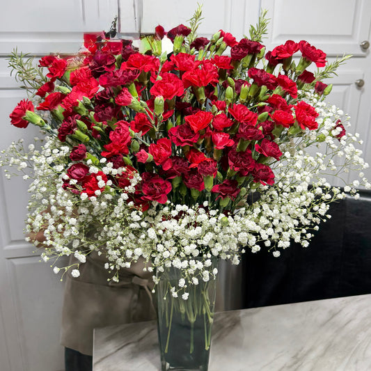 A vibrant bouquet of red carnations and white baby's breath in a clear vase.