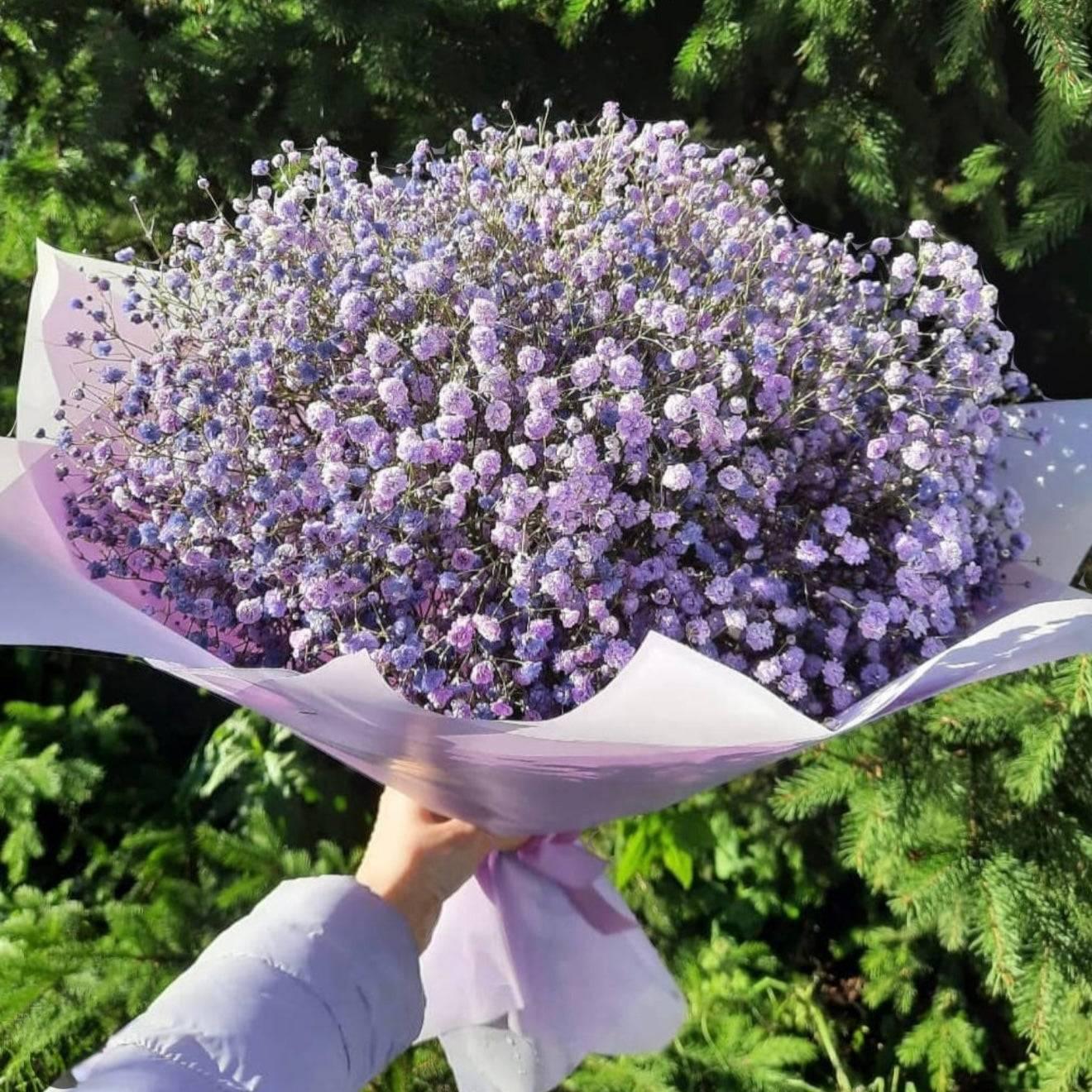 Flower Candy - Flowery