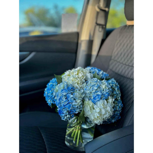 Horizon Sky - Flowery