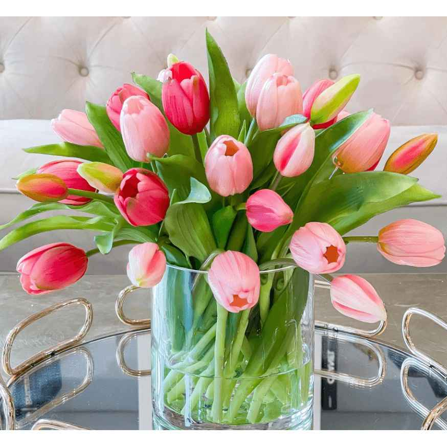 Tulipa - Flowery