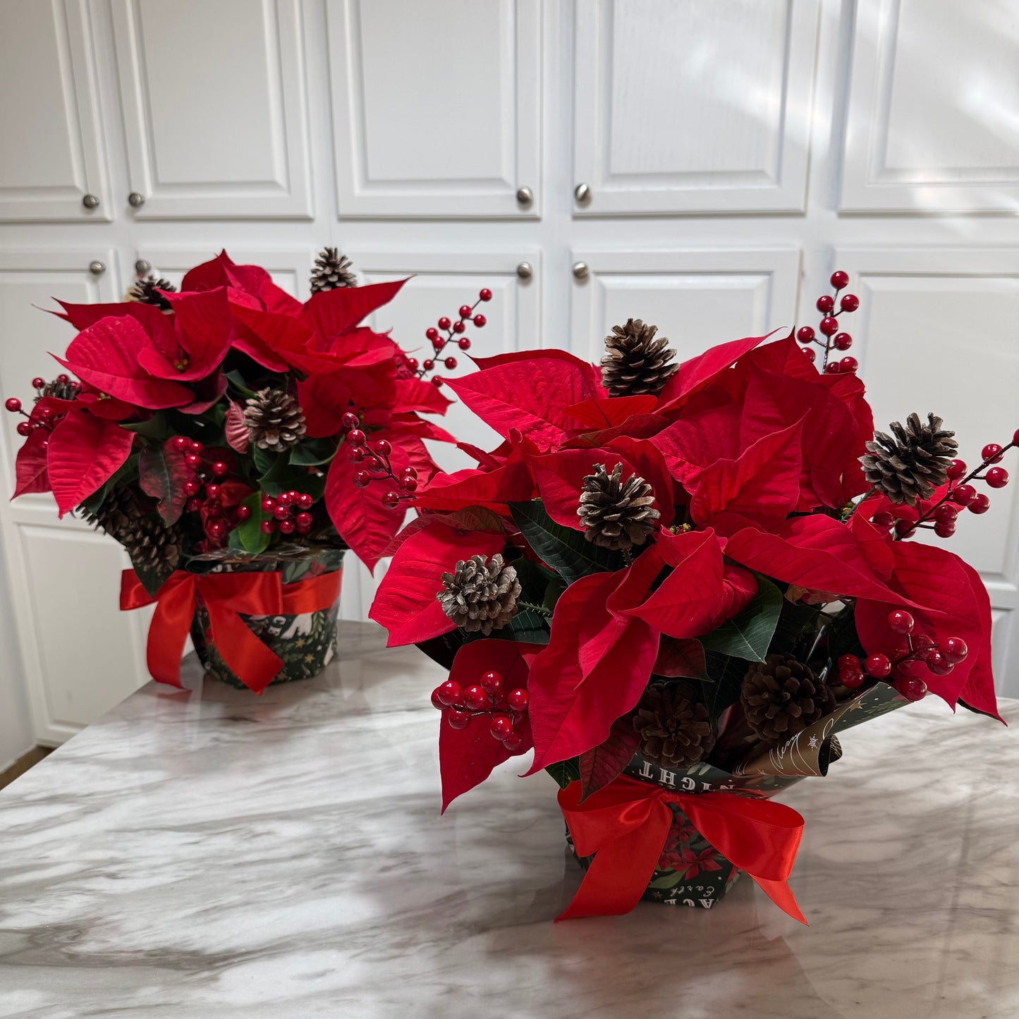 Poinsettia ( 2 Counts ) - Flowery