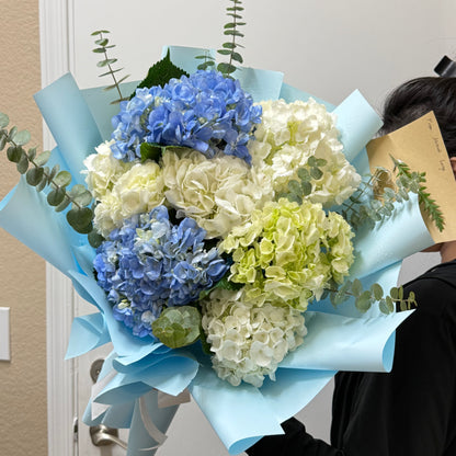 Large bouquet of blue, white, and green hydrangeas in light blue wrap.