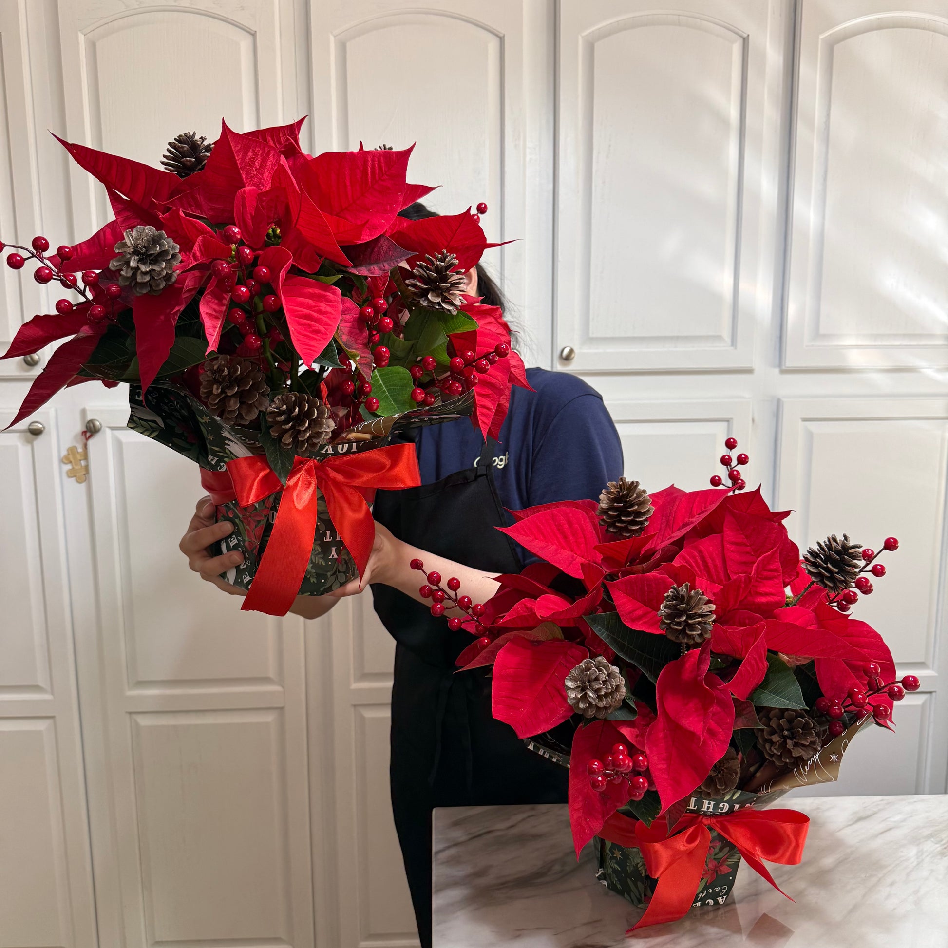 Poinsettia ( 2 Counts ) - Flowery