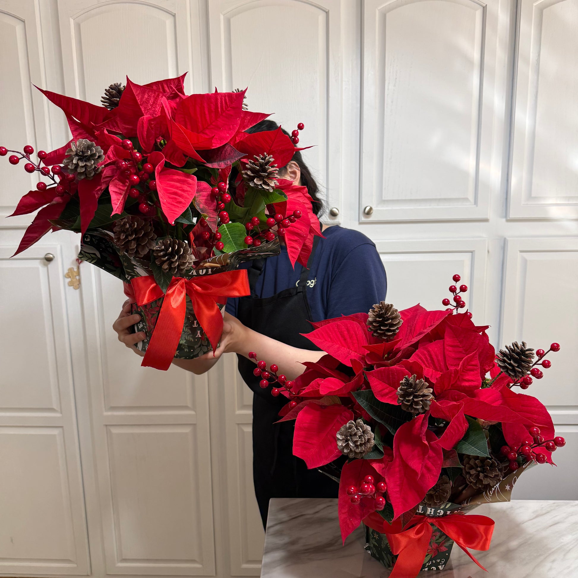 Poinsettia ( 2 Counts ) - Flowery