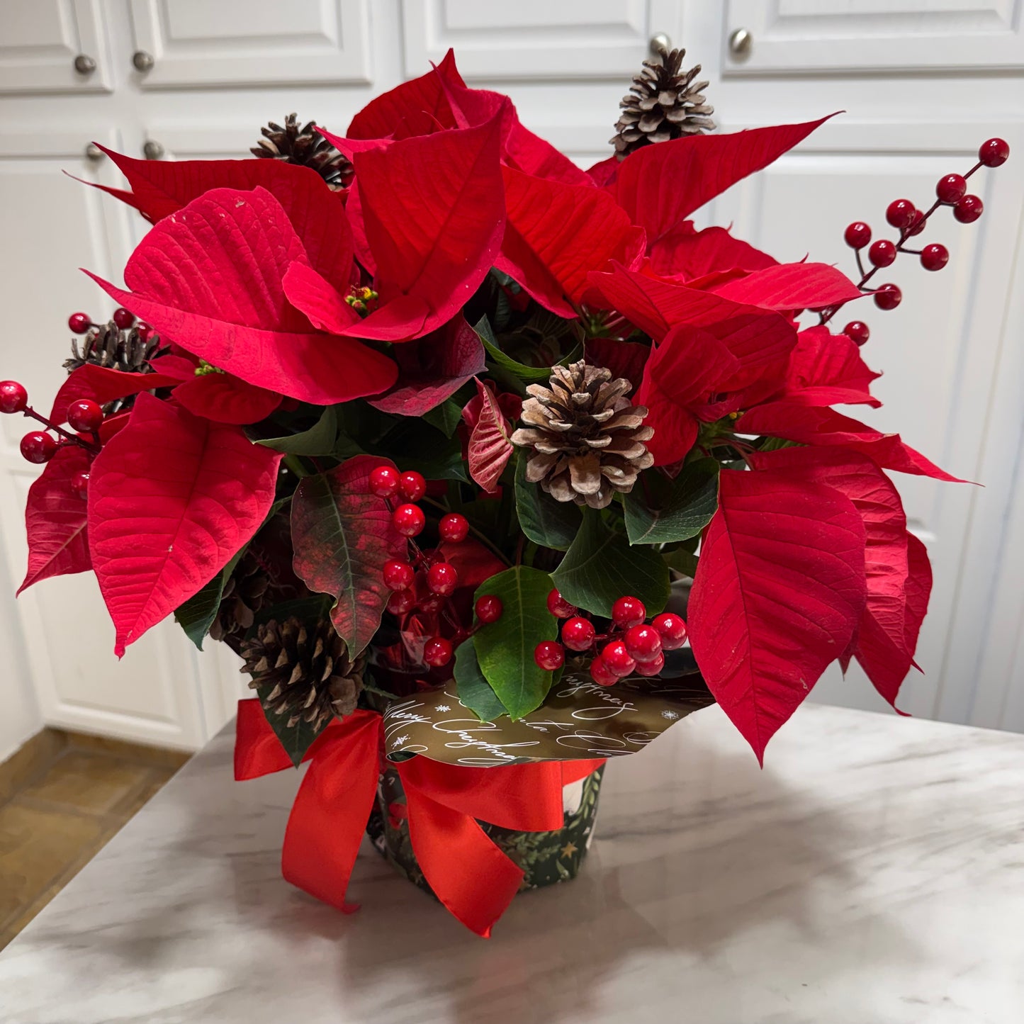 Poinsettia ( 2 Counts ) - Flowery