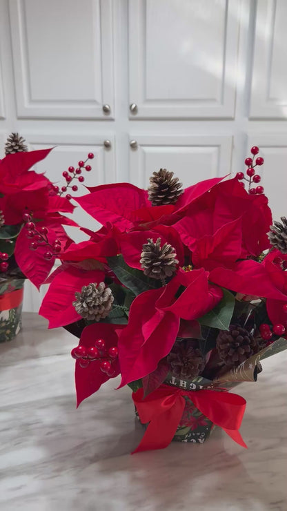 Poinsettia ( 2 Counts )