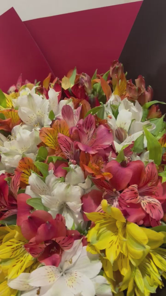 Petal Party